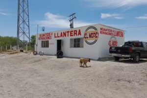 llantera el more