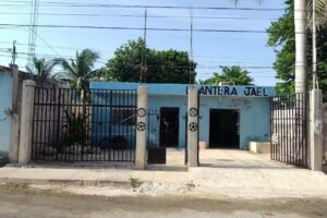 Llantera jael