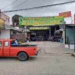 Llantera “Leo”