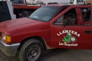 Llantera LOS CHAPULINES