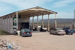 LLANTERA LOS GRILLOS