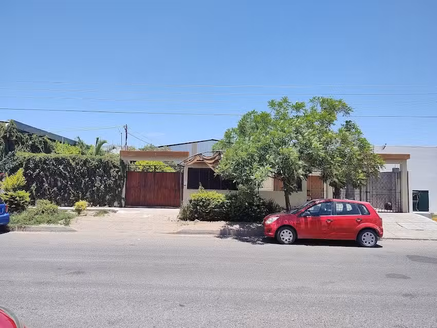 Llantera los peluches