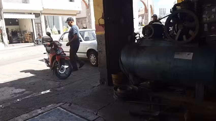 Llantera melesio