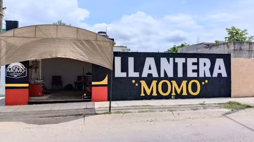Llantera Momo