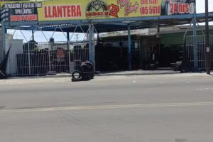 Llantera momos 2