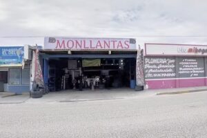 LLANTERA MONLLANTAS