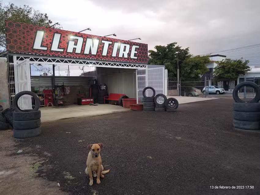 LLANTERA MOVIL &ldquo;LLAN-TIRE&rdquo; 24/7