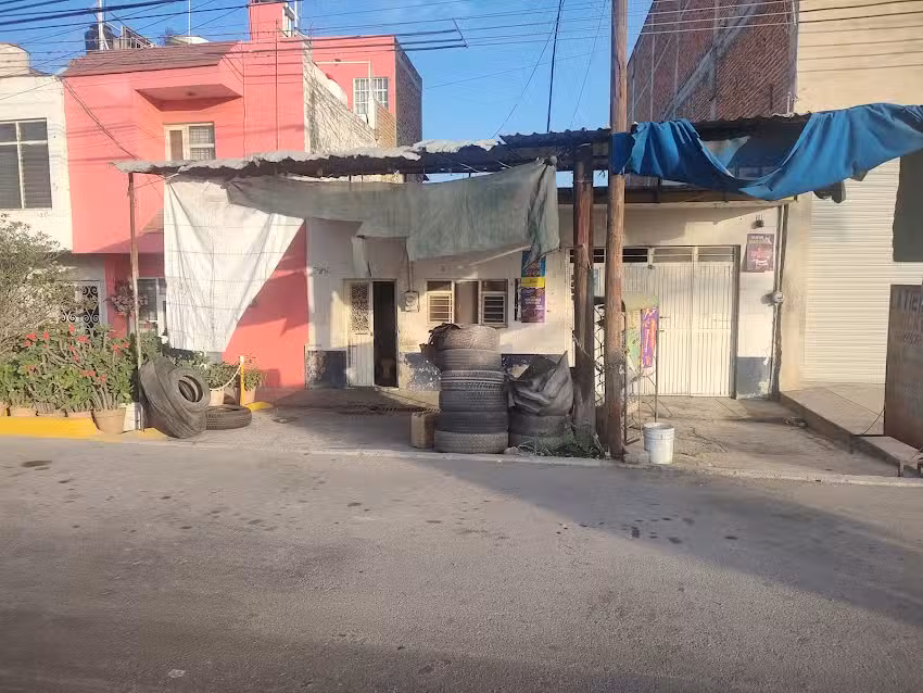 Llantera nino