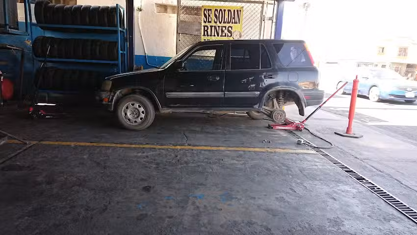 LLANTERA SAGUCHI&rsquo;S