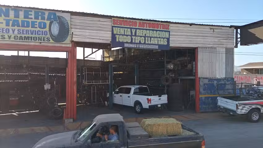 Llantera Tadeo Baja
