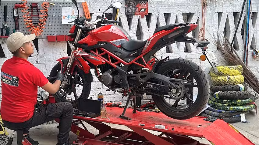 LLANTERA & VULCANIZADORA OSO BIKER