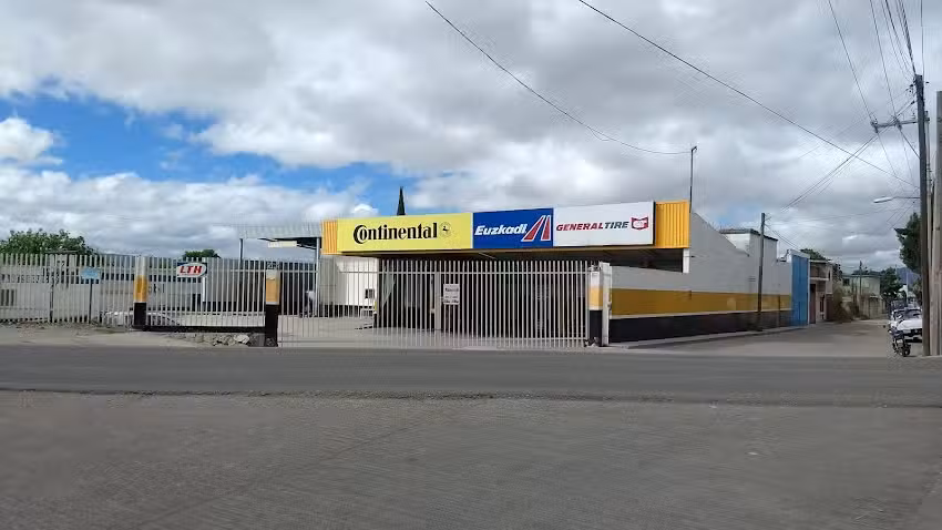 Llantiservicios Nochixtl&aacute;n, S.A. de C.V.