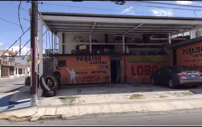 LOBO PARAISO LLANTERA