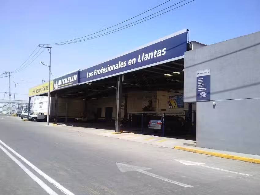 Mil Neum&aacute;ticos de Mexico