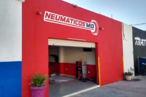 NEUM&Aacute;TICOS MID