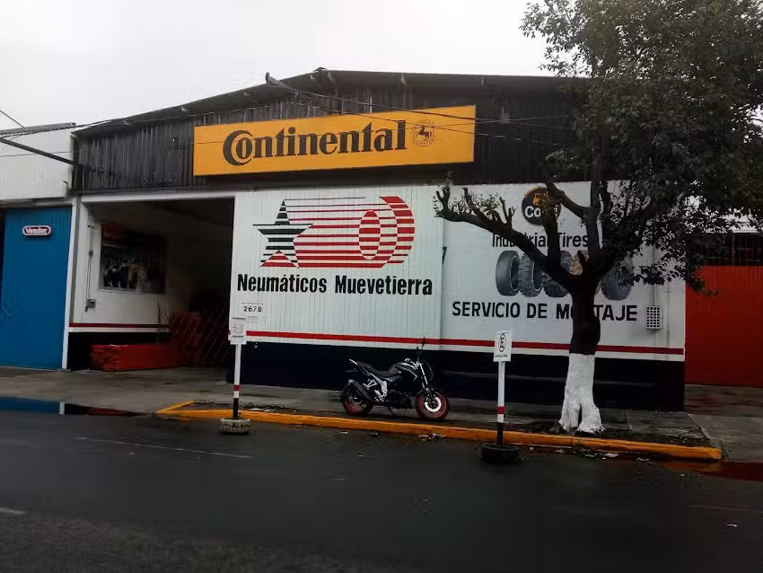 Neumaticos Muevetierra