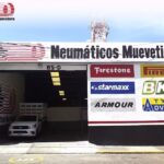 Neum&aacute;ticos Muevetierra