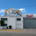 Neumaticos Muevetierra