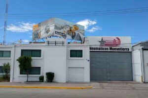 Neumaticos Muevetierra