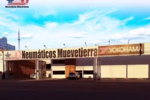 Neumáticos Muevetierra