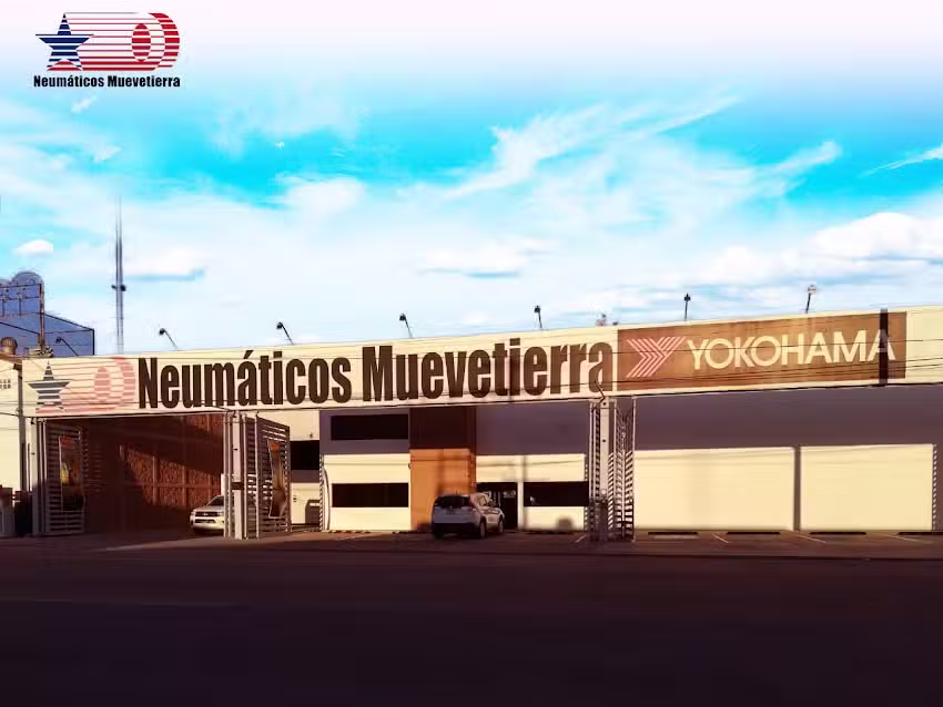 Neum&aacute;ticos Muevetierra