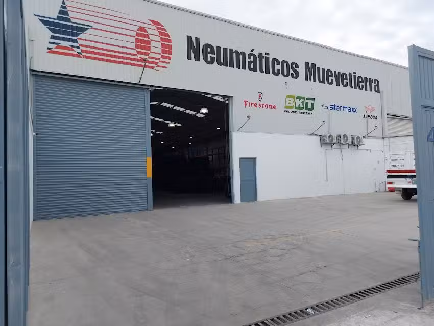 Neum&aacute;ticos Muevetierra
