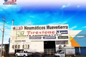 Neumaticos Muevetierra, Sucursal Irapuato