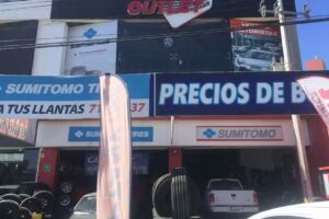 NEUM&Aacute;TICOS Y RINES DE CALIDAD