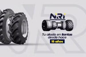 Neumaticos y Rines Industriales S.A de C.V