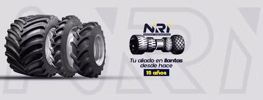 Neumaticos y Rines Industriales S.A de C.V