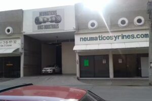 NEUMATICOS Y RINES INDUSTRIALES S.A DE C.V.