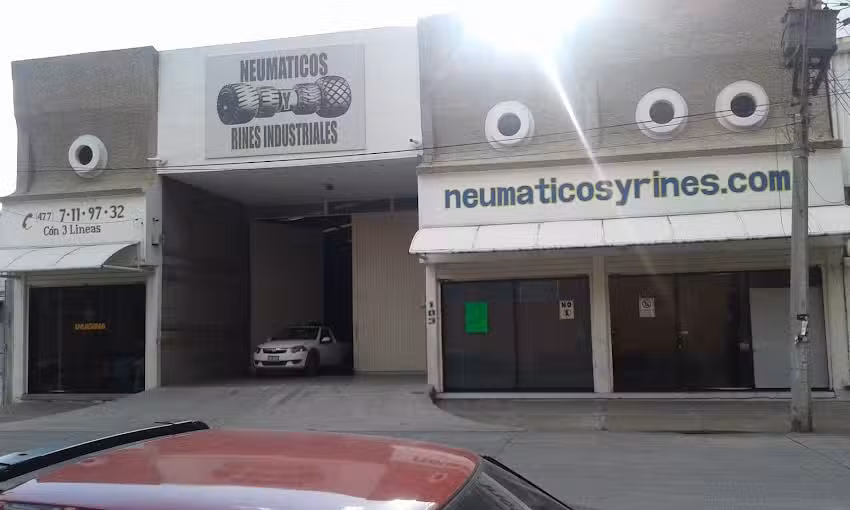 NEUMATICOS Y RINES INDUSTRIALES S.A DE C.V.