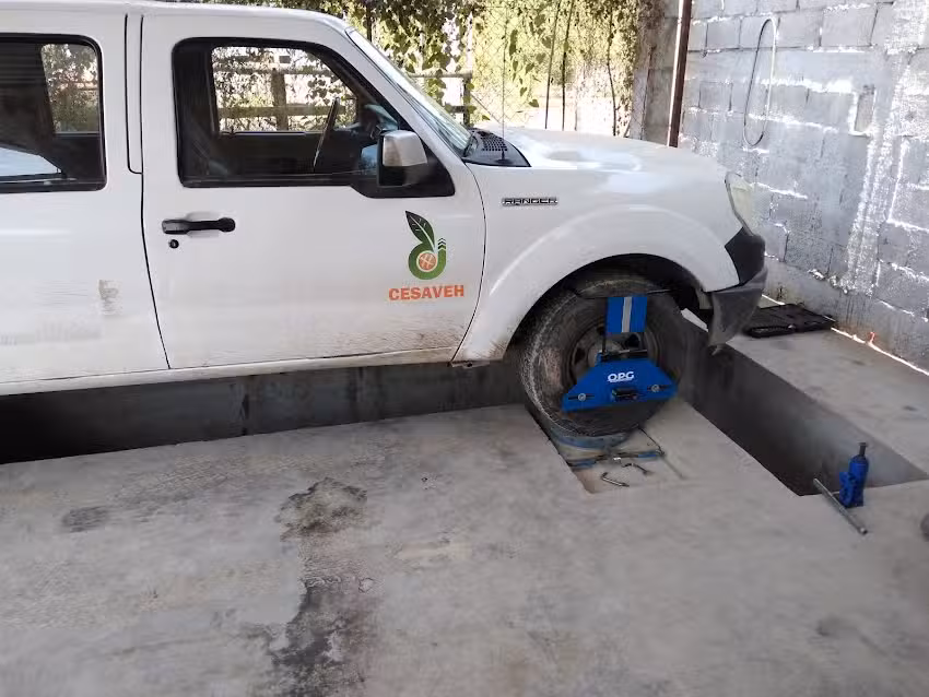 OPG- Alineacion Y Balanceo