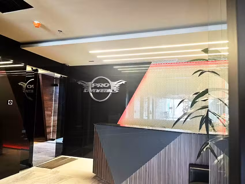 Prodynamics Corporativo