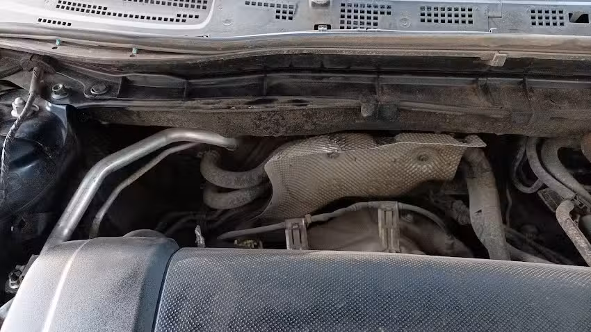 Proveedora De Partes Automotrices Y Servicios Del Centro,S.A. De C.V.