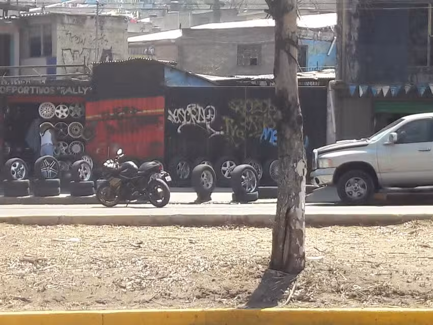 Rines Deportivos Rally