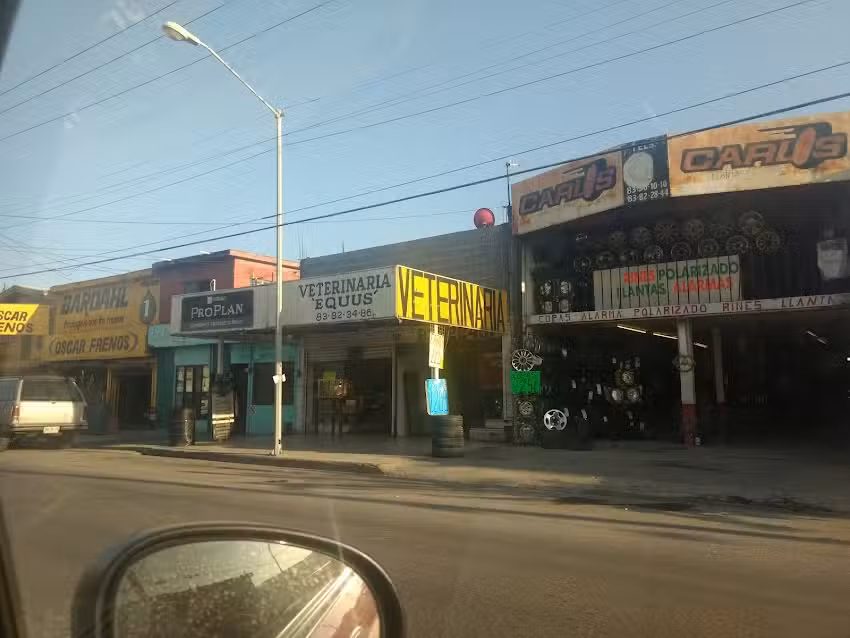 Rines y Llantas Del Bravo