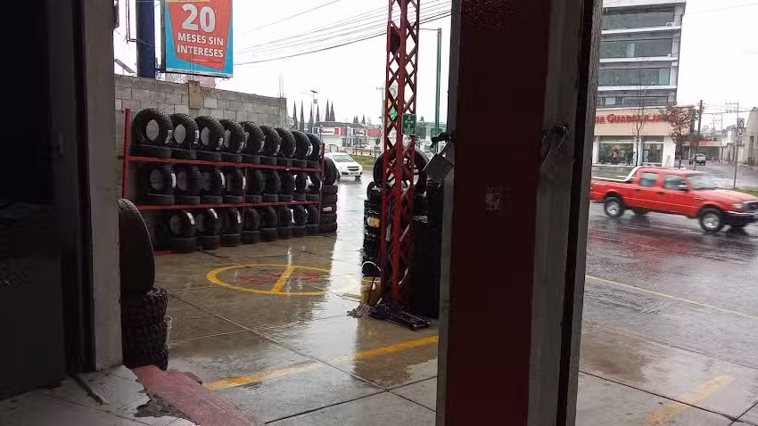 RINES Y LLANTAS. SEMA