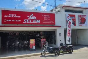 Selem Motorefacciones Matriz 71