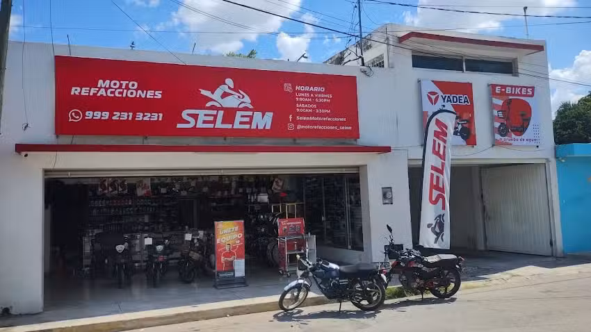 Selem Motorefacciones Matriz 71
