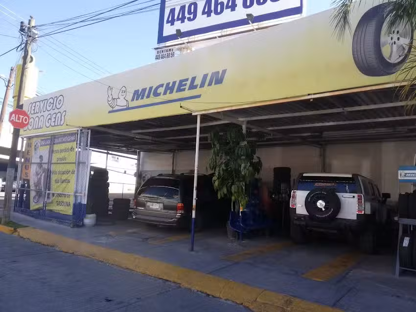 Servicio Bona Agens