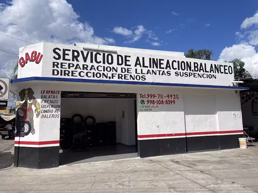 Servicio de alineaci&oacute;n, balanceo y suspension en general &ldquo;GAGU&rdquo;.