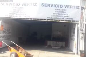 SERVICIO VERTIZ