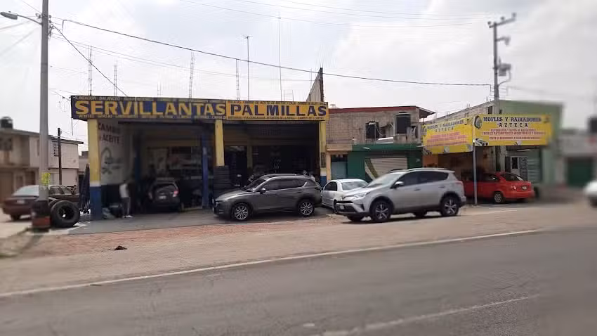 Servillantas palmillas
