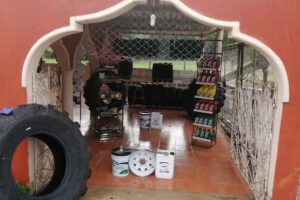 Servillantas “Ramirez”