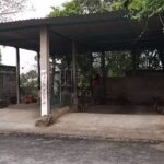 Taller de Alineaci&oacute;n