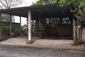 Taller de Alineación