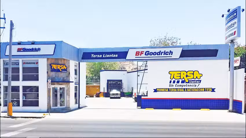 TERSA Llantas Encinas