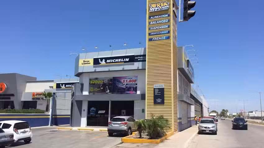 TERSA Llantas Rosales