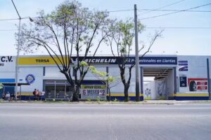 TERSA Llantas Suc. R. Michel